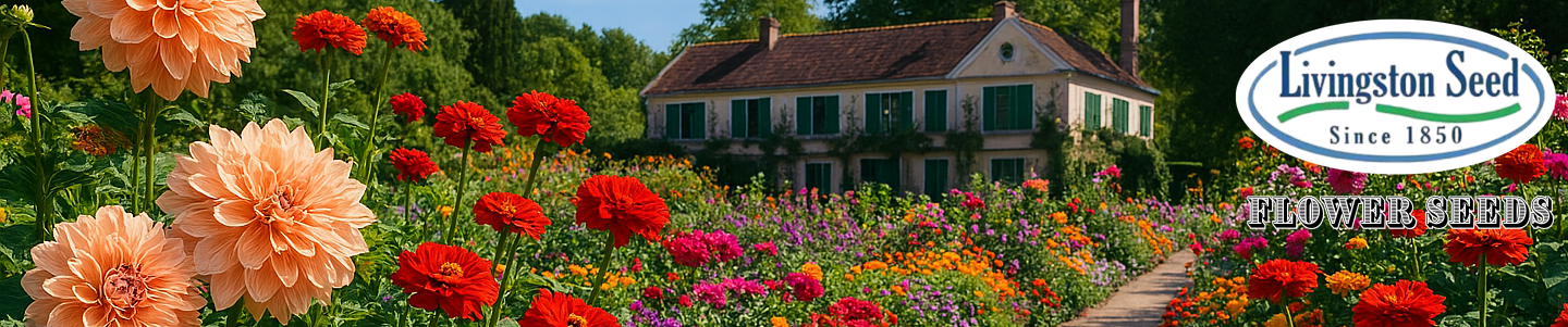 Livingston Seeds Flowers